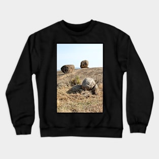 Balancing Rock Formations. Kopjes in Tanzania Crewneck Sweatshirt